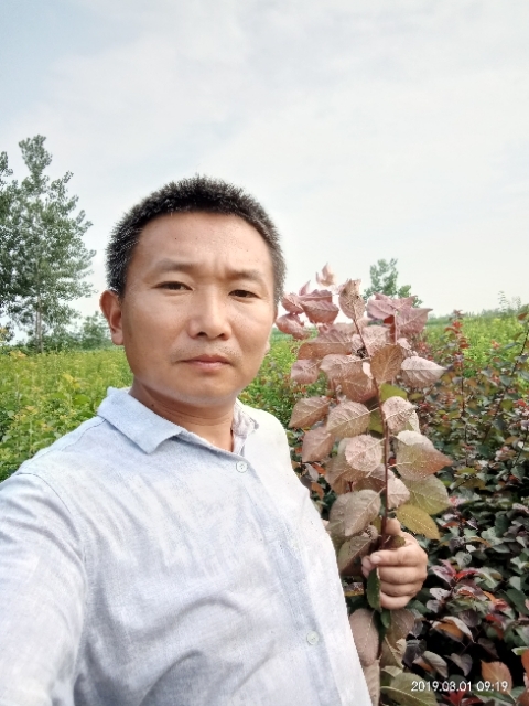 孩子爸的第一张照片--新沂蓝颜知己交友网